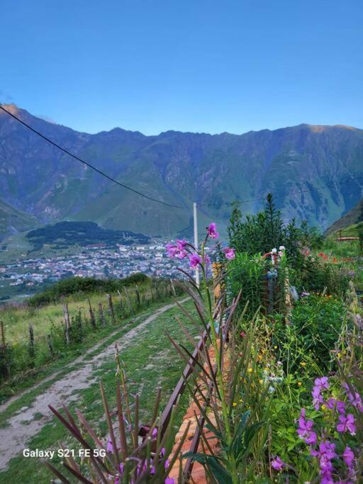 Villa Peak House Kazbegi Exterior foto